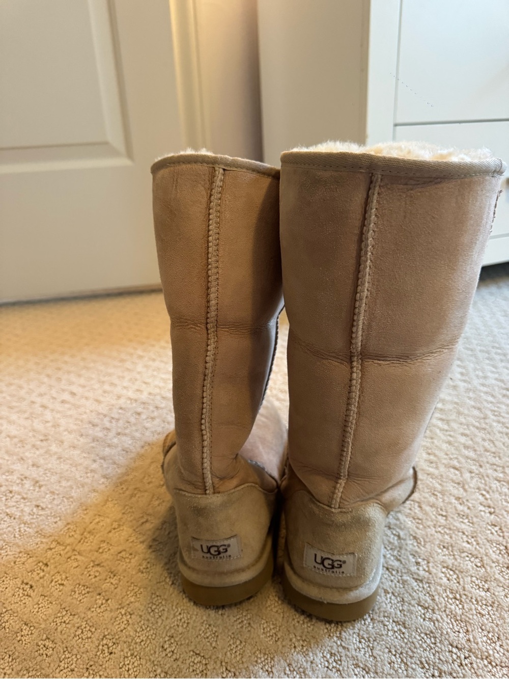 Ugg Classic Women's Tall Suede Boot in Sand, Size 8.5